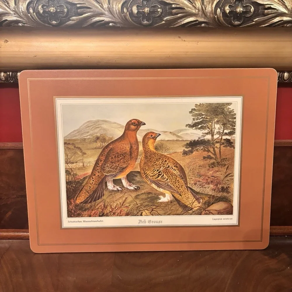 Vintage Pimpernel Red Grouse Cork Back Placemats Set‎ of 4 Wildlife Bird